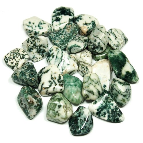 Tree Agate Tumbled Stone