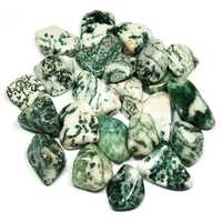 Tree Agate Tumbled Stone