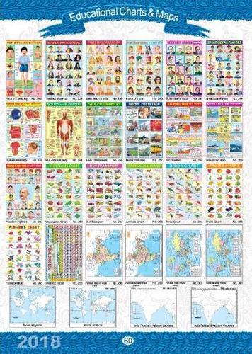 Paper Educational Charts & Maps