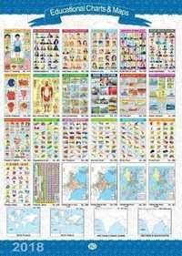 Educational Charts & Maps - Paper, 2-3 Mm Thickness , Smooth Finish With Detailed Prints And Laminated For Extended Life