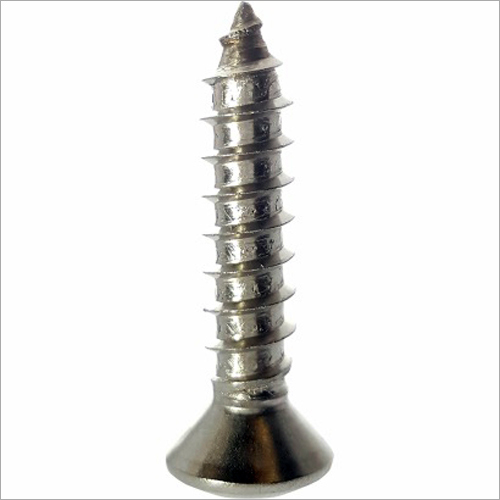 Oval Head Screw