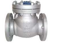 Industrial Check Valve