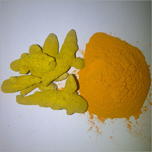 Curcuma Longa (Turmeric)