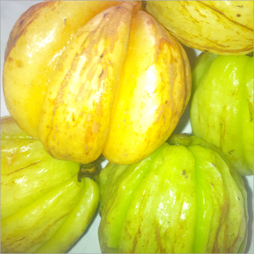 Fruta do Cambogia de Garcinia