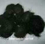 Indian Hair Ball