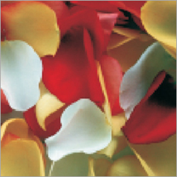 Tea Rose Air Freshener Refills