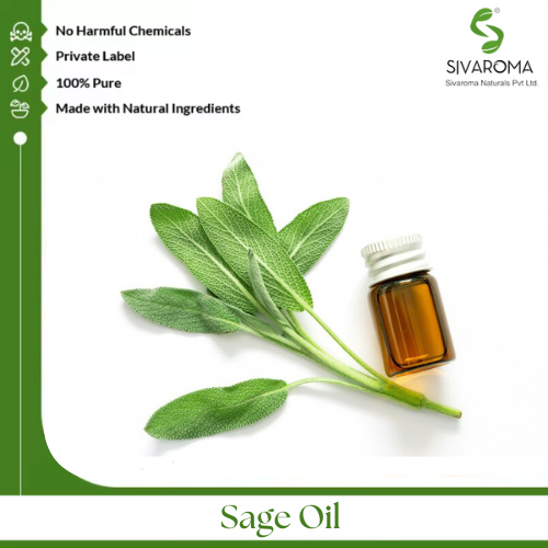 Sage Oil