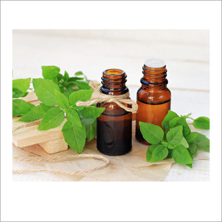 Basil Oil at Best Price from Manufacturers Suppliers Dealers