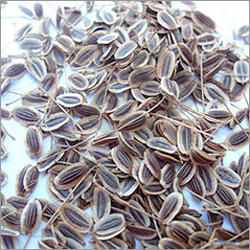 Dill Seed Oil By Sivaroma Naturals Pvt. Ltd.