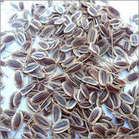 Dill Seed Oil
