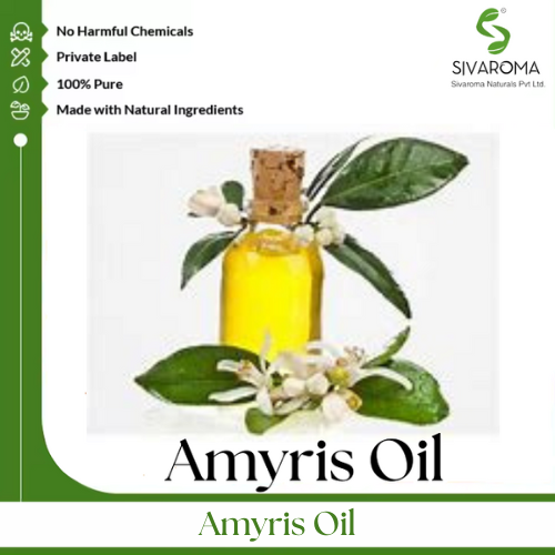 Amyris Oil - High Purity Essential Oil | Therapeutic Aromatherapy Benefits, Eco-Friendly Extraction Process, Ideal for Wellness and Skin Care