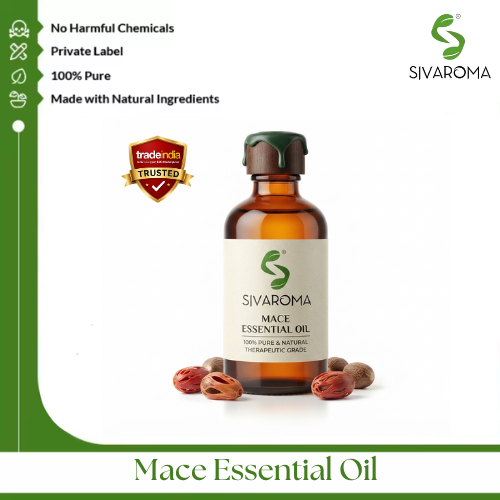 Mace Oil - Age Group: All Age Groups
