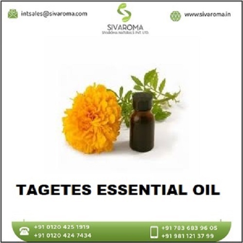 Tagetes Oil By Sivaroma Naturals Pvt. Ltd.