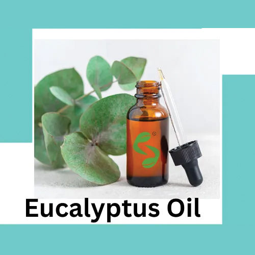 Eucalyptus Oil - Age Group: All Age Group