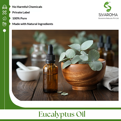 Eucalyptus Oil - Age Group: All Age Group