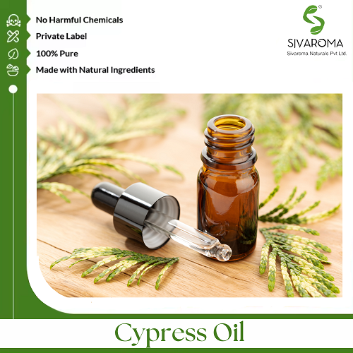 Cypress Oil