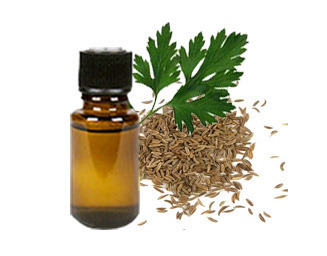 Parsley Seed Oil By Sivaroma Naturals Pvt. Ltd.