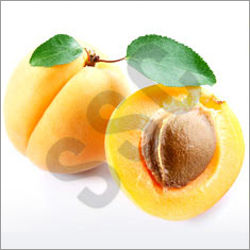 Apricot Oil