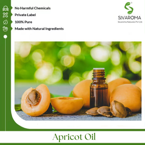 Apricot Oil