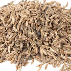 Cumin Seed Oil By Sivaroma Naturals Pvt. Ltd.