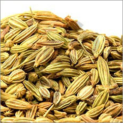 Fennel Seed Oil By Sivaroma Naturals Pvt. Ltd.