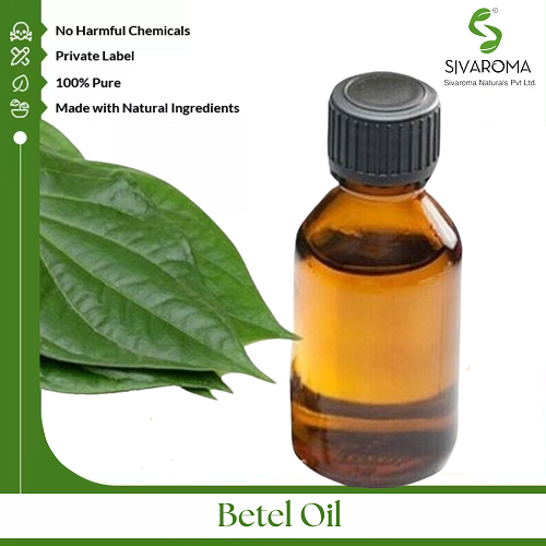 Betel Oil - Age Group: All Age Group