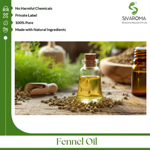 Fennel Oil