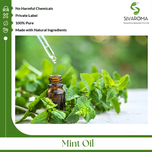 Mint Oil