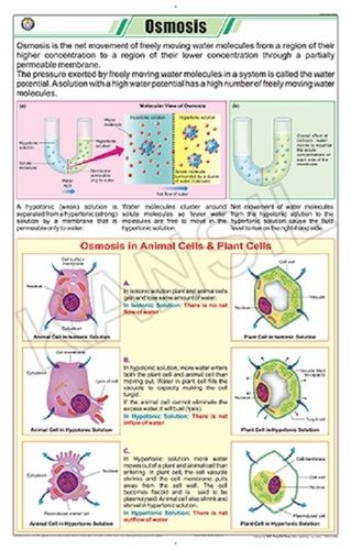 Osmosis Chart