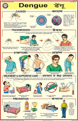Dengue Chart
