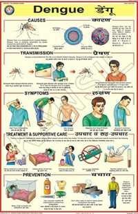 Dengue Chart