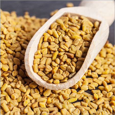 Fenugreek seeds
