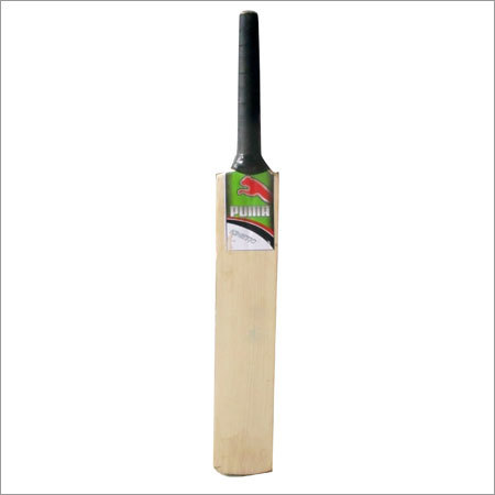 Wooden Cricket Bat