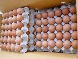 Fresh Chicken Table Eggs