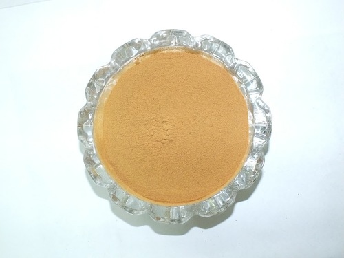 Shatavari Extract Powder