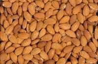Almonds Nuts - Premium Quality Whole Almonds, Rich in Nutrients and Healthy Fats