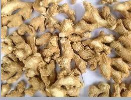 Dry And Fresh Ginger