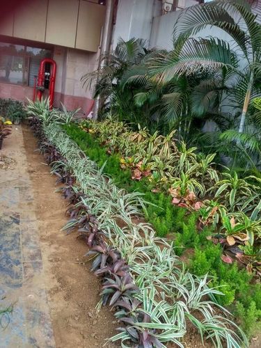 Horticulture Development Services