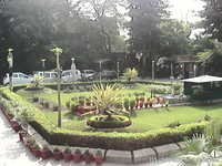 Landscape Development Services