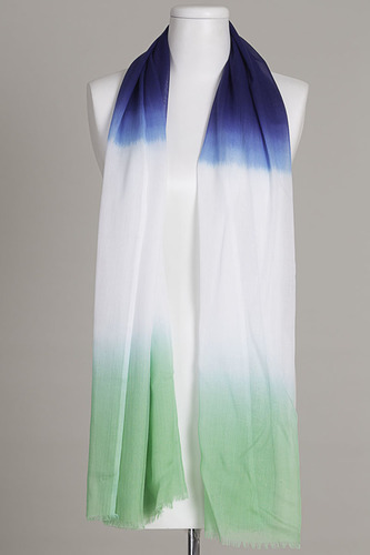 Ombre Scarf