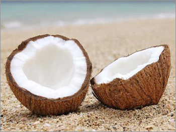 Mature Coconut - Premium Quality, 100% Natural Organic Coconut, Perfect for Culinary Use and Health Benefits