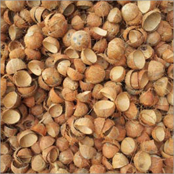 Raw Coconut Shell