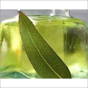 Eucalyptus Essential Oil