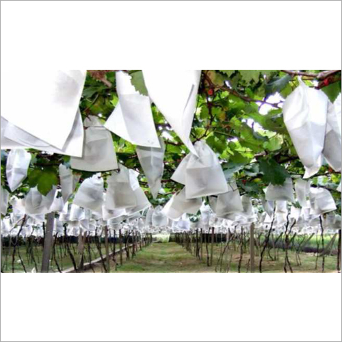 Agriculture Fruit Protection Bag