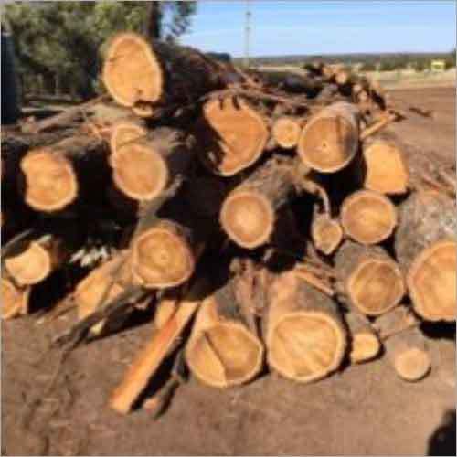 Exotic Woods - Australian
