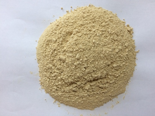 DRIED GARLIC POWDER PREMIUM