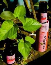 Herbal Hair Conditioner