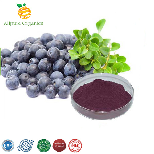 Acai Berry Extract Powder