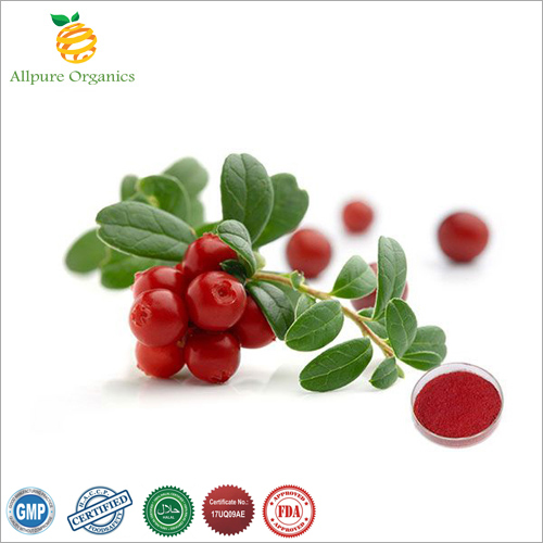 Cranberry Extract Powder