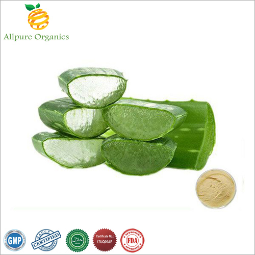 Aloe Vera Extract Powder